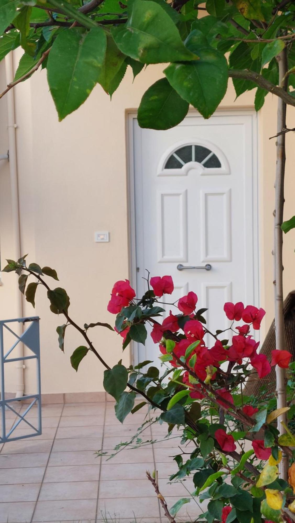 فيلا Sunbeam Retreat خانيا المظهر الخارجي الصورة