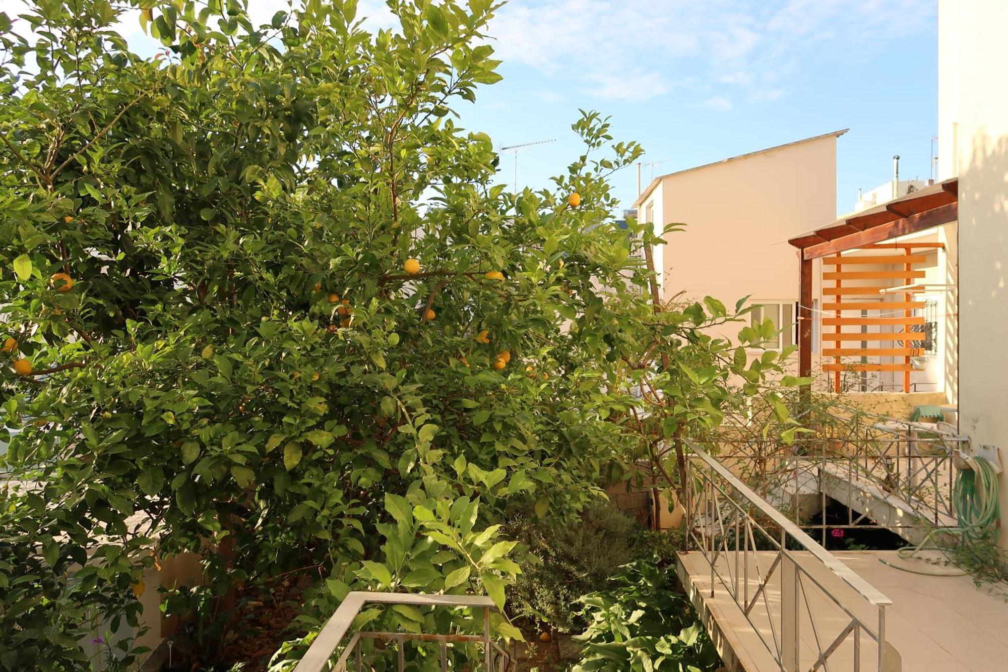 فيلا Sunbeam Retreat خانيا المظهر الخارجي الصورة
