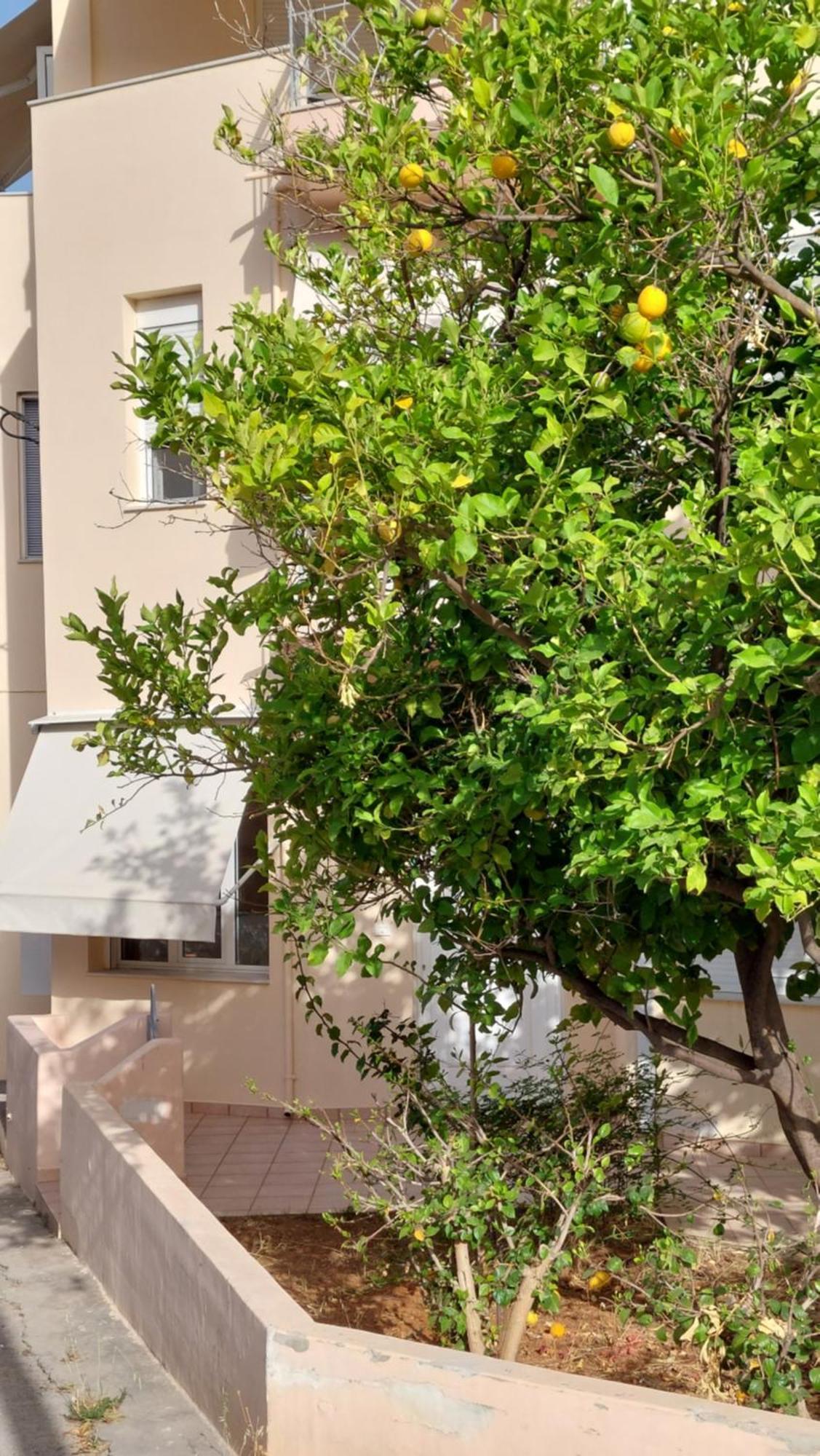 فيلا Sunbeam Retreat خانيا المظهر الخارجي الصورة